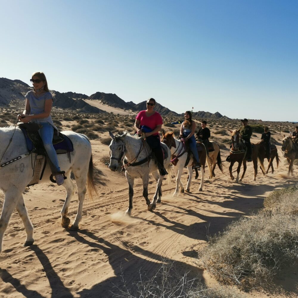Paseos a caballo en Puerto Peñasco