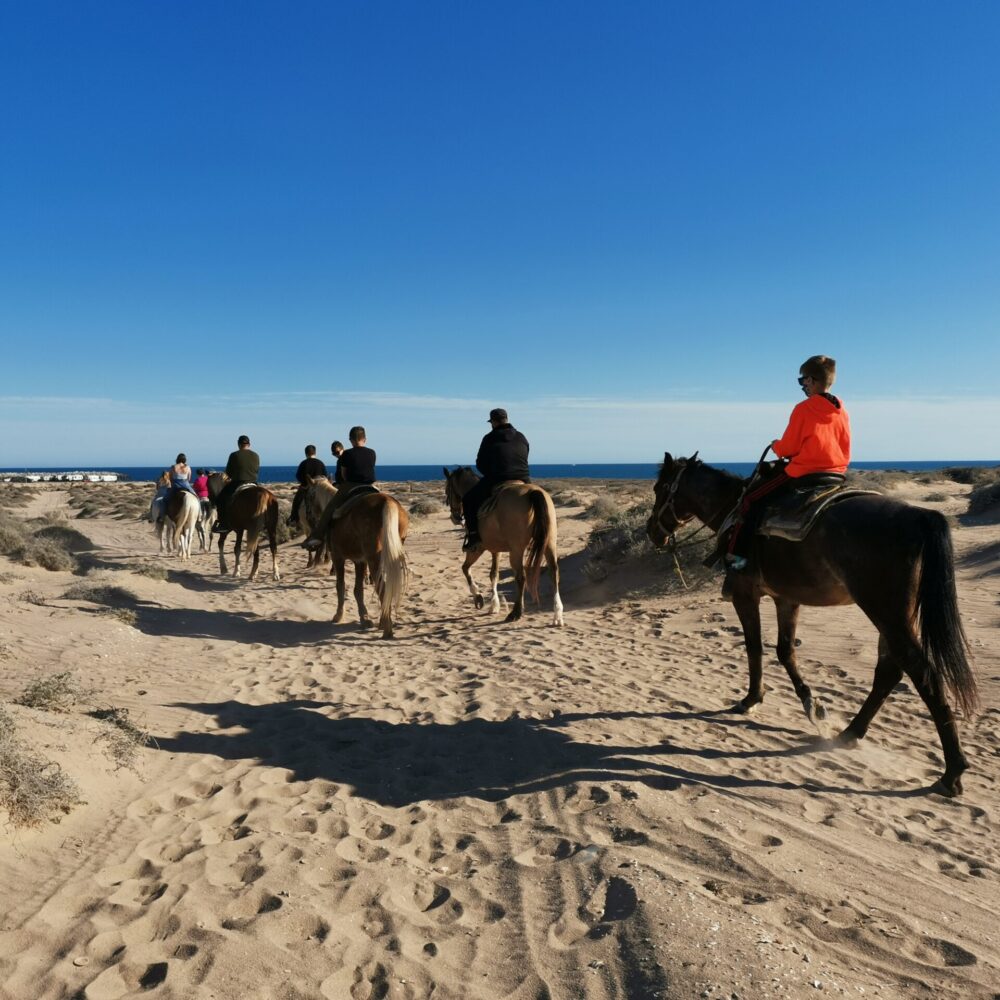 Paseo a caballo en Puerto Peñasco 5